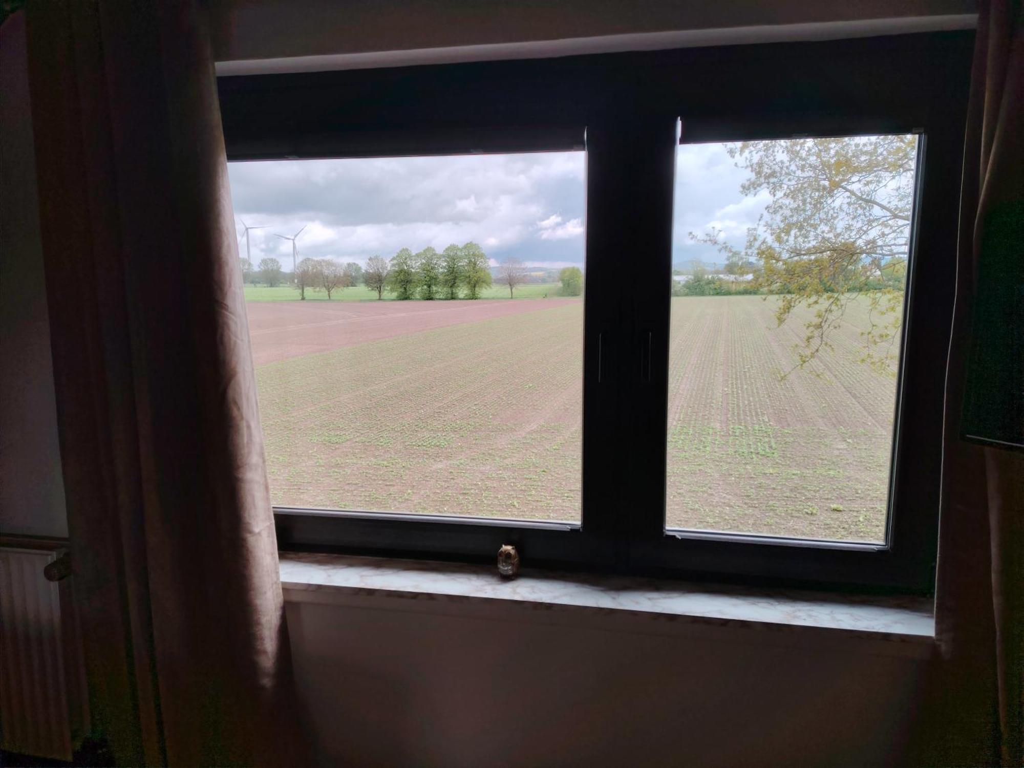 Brini'S Ferienwohnung Im Gruenen Lage  Екстериор снимка